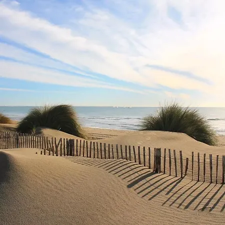 Lejlighed Magnifique T2 Avec Piscine Partagee A